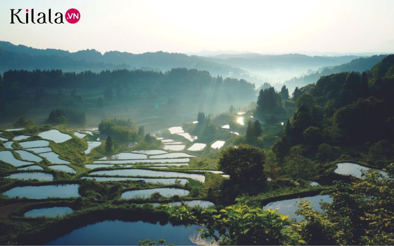 ruộng bậc thang ruộng bậc thang